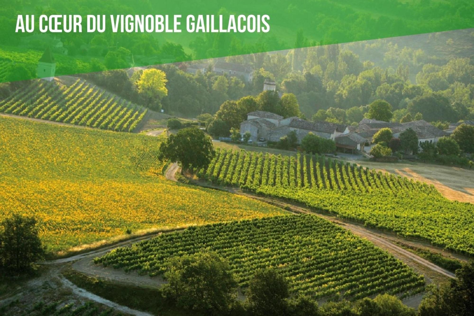 Le Cottage Nature Vigne Rouge Sauna Gaillac Entre Albi-Toulouse & Les Cottages Du Tarn Brens  Экстерьер фото